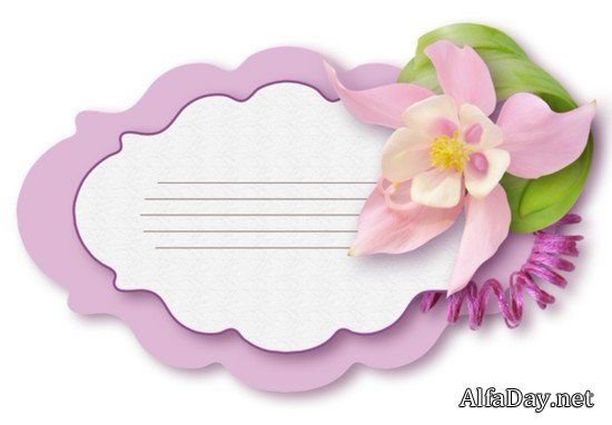 Ярлычок для надписи