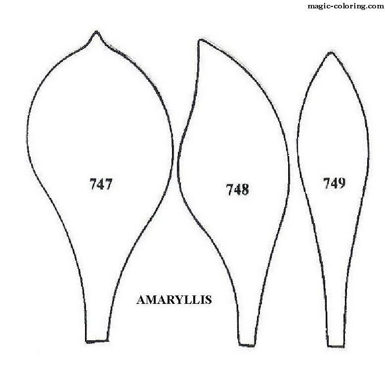 Лекало лепестков цветов
