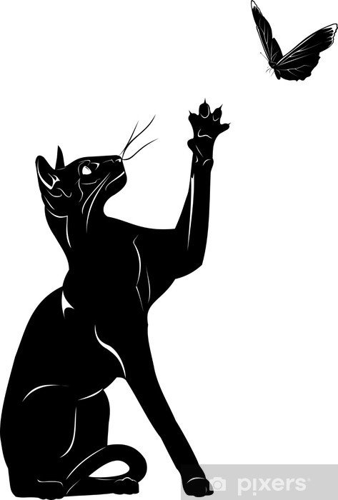 Изящная кошка