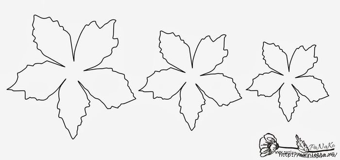 Цветок шаблон