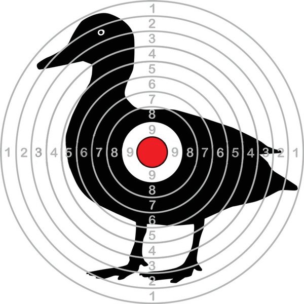 Мишень для воздушки 20 метров