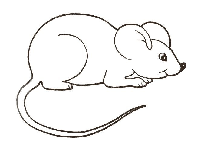 Мышь трафарет для рисования