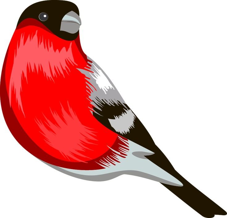 Снегирь для детей