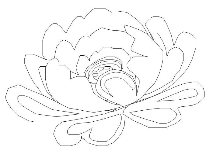 Раскраски для детей цветы пионы