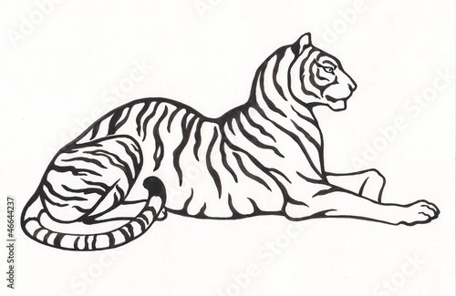 Тигр рисунок для срисовки