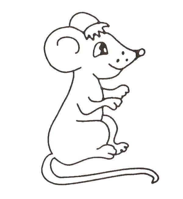 Мышонок раскраска для детей