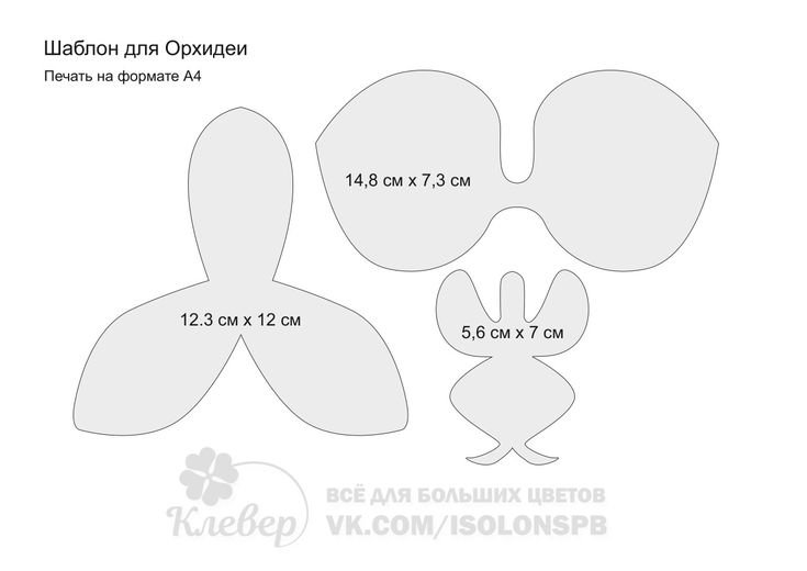 Как сделать орхидею из фоамирана – советы + пошаговое фото изготовления