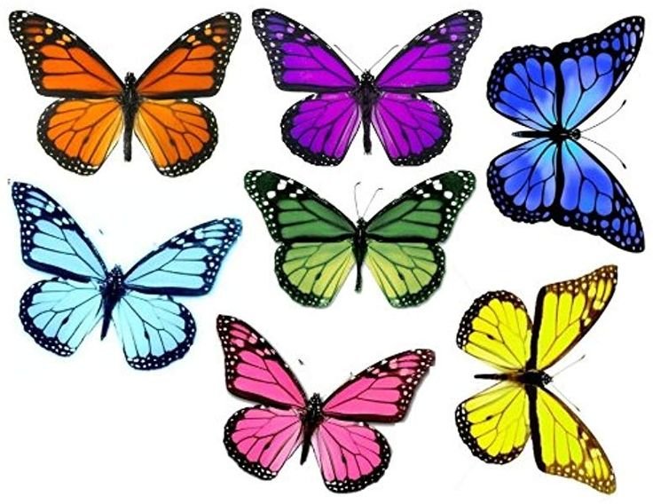 Красивые разноцветные бабочки