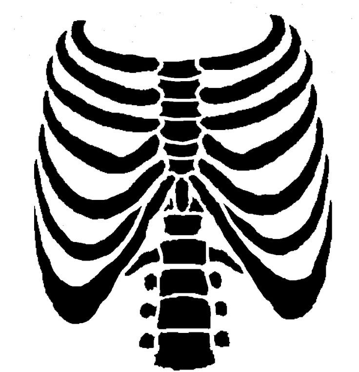 Скелет рисунок
