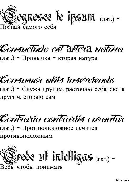 Эскизы татуировок надписей для девушек