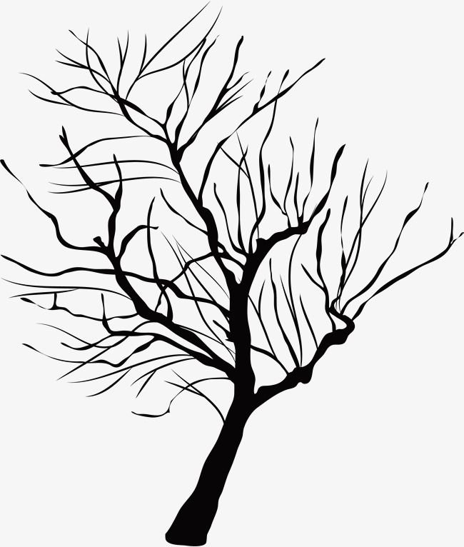 Силуэт дерева без листвы