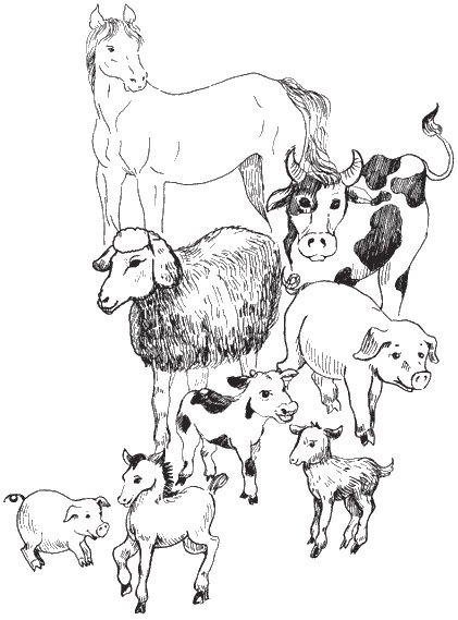 Раскраски домашние животные с детенышами