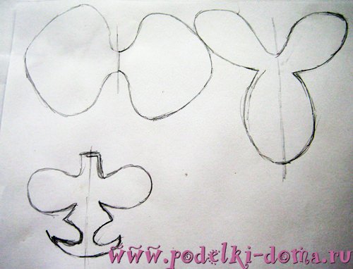 Шаблоны цветов орхидеи