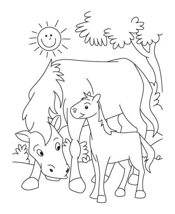 Раскраски животные и их Детеныши