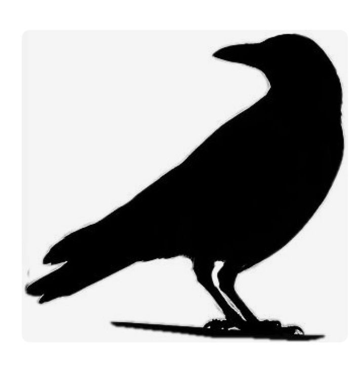 Силуэт ворона