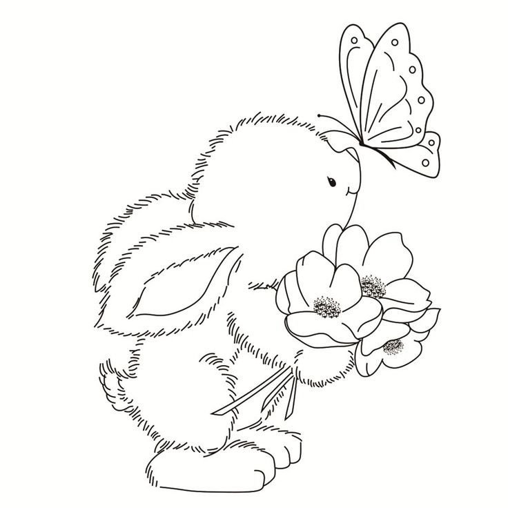 Раскраска зайчик