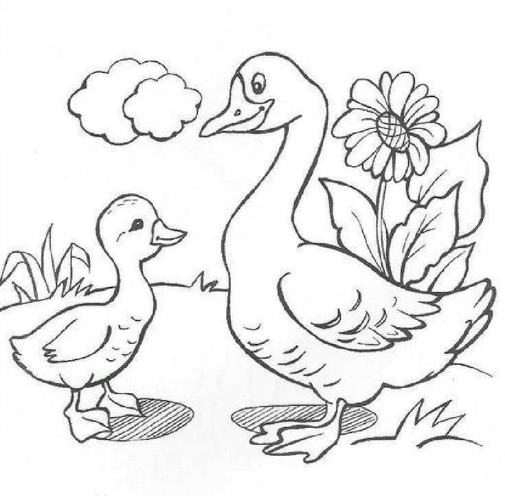 Гусь раскраска для детей