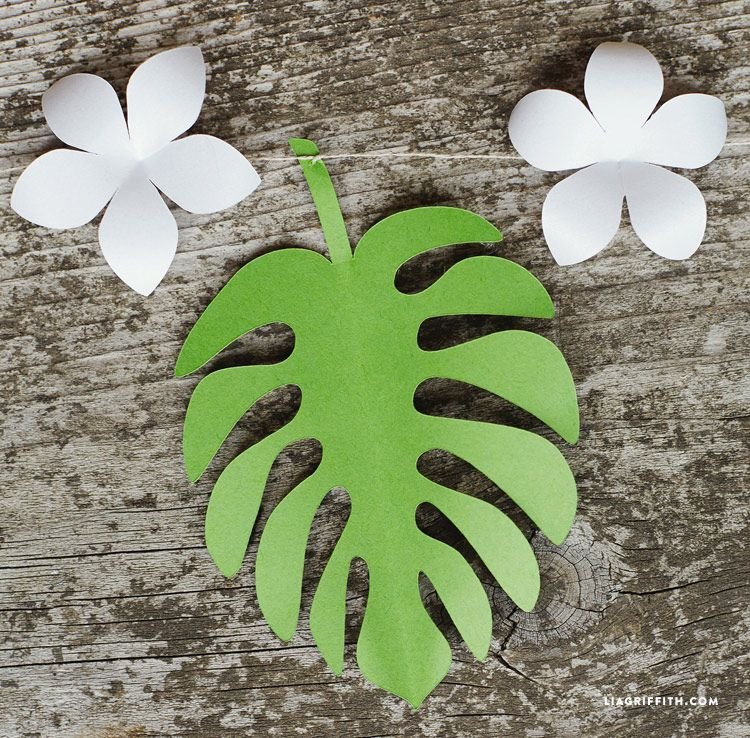 Лист монстеры из бумаги