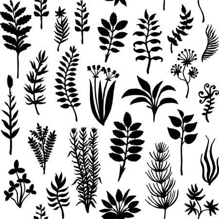 Трафарет растительность