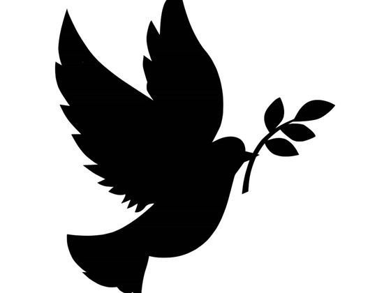 Силуэт голубя
