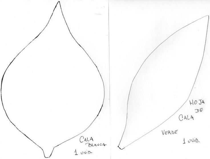 Каллы из фоамирана шаблоны
