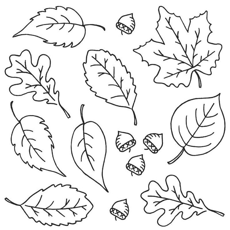 Трафарет осенних листьев