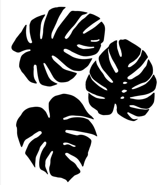 Monstera Leaf контур