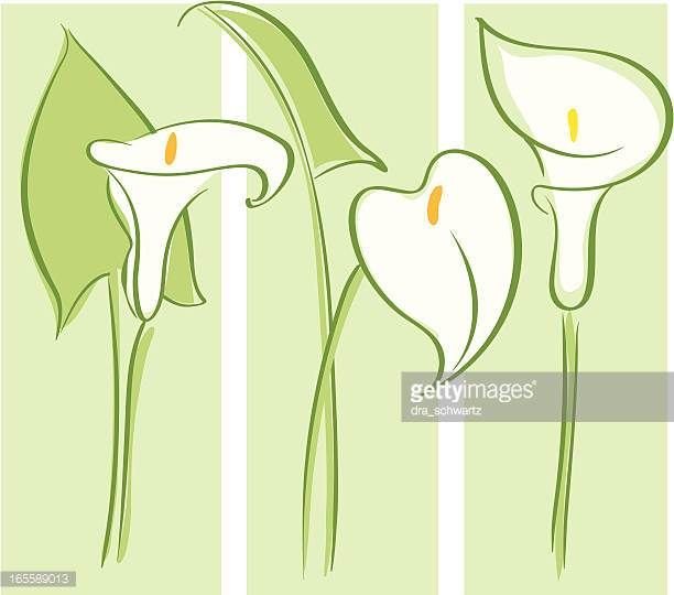 Трафарет каллы