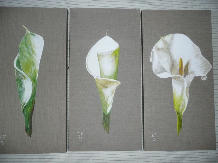 Каллы своими руками