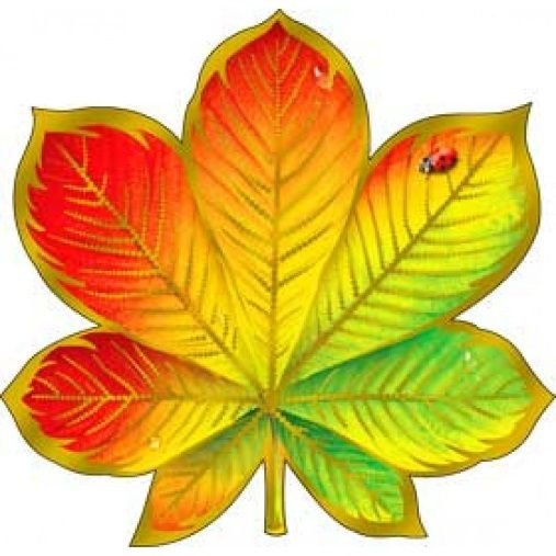 Цветной лист