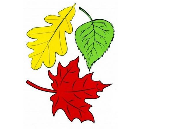 Листья рисунок