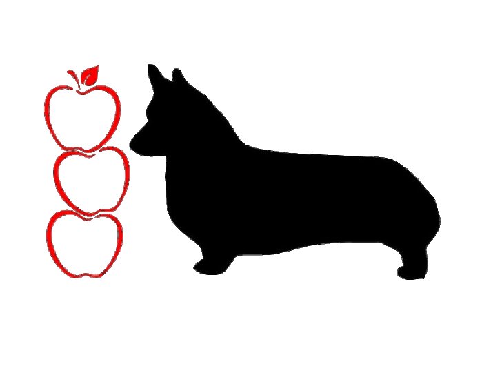 Собака корги