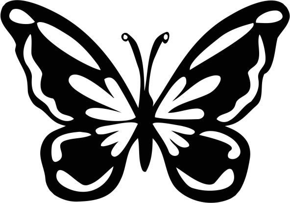 Трафареты бабочки