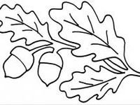 Лист дуба трафарет для вырезания