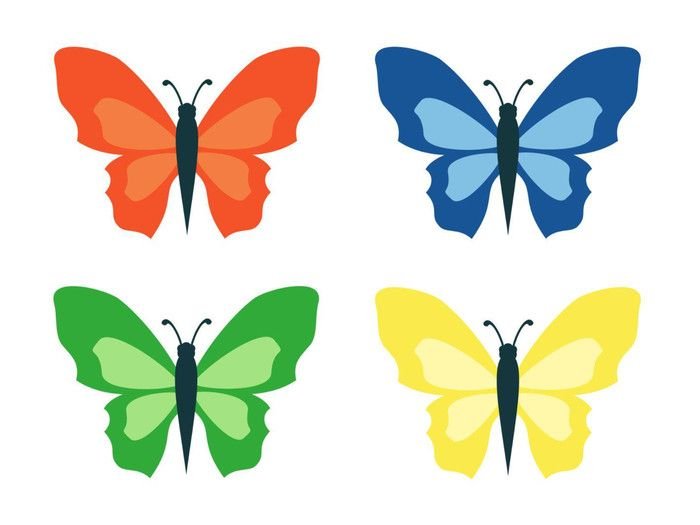 Разноцветные бабочки