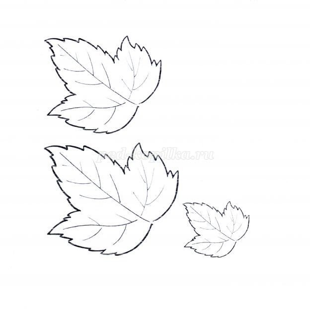 Лист калины раскраска