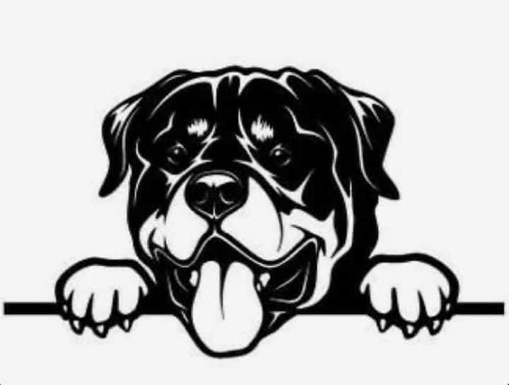 Ротвейлер векторное изображение