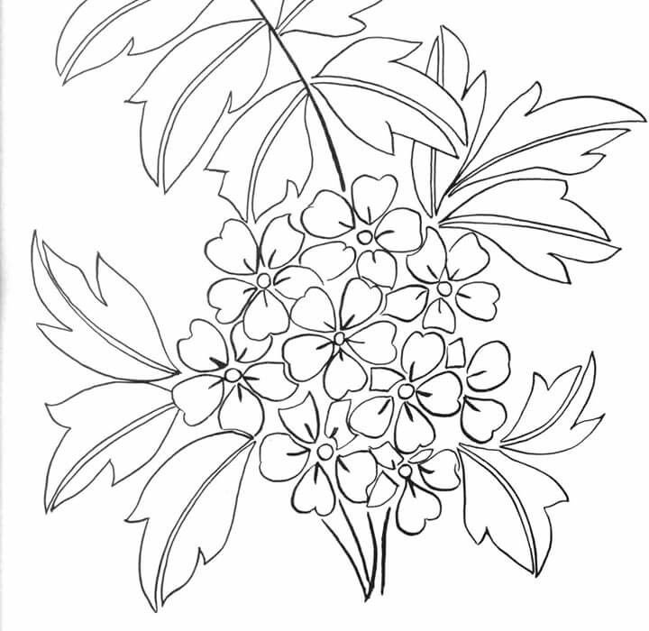 Эскизы цветов для батика