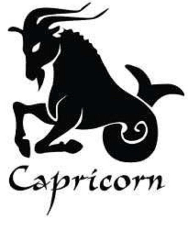 Козерог эскиз