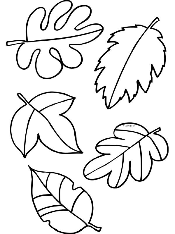 Трафареты листиков осенних