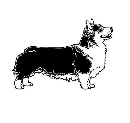 Корги вельш корги кардиган