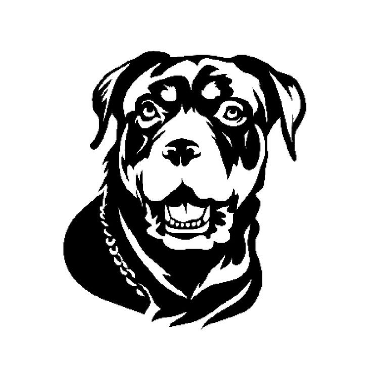 Ротвейлер эскиз