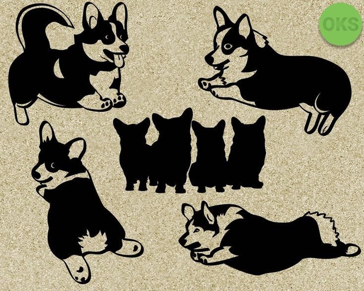 Трафарет корги