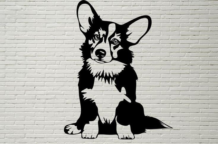 Собака корги вектор