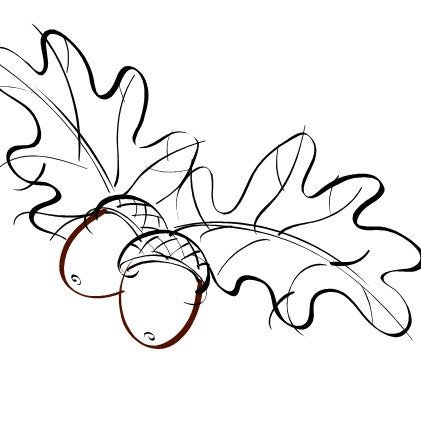 Дубовый лист раскраска