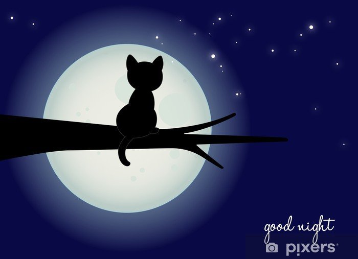 Кот на крыше силуэт