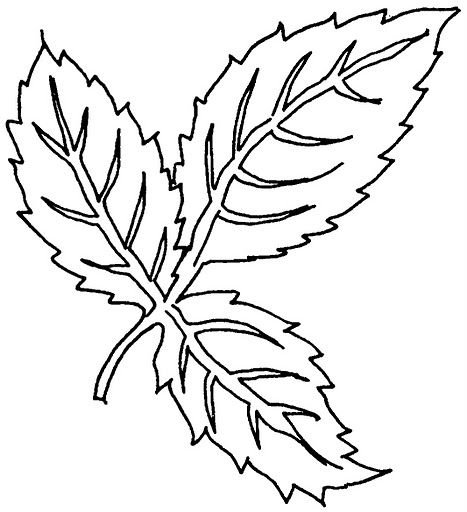 Листья шаблоны для вырезания