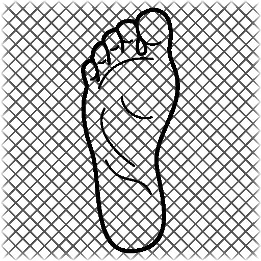 Контур стопы человека