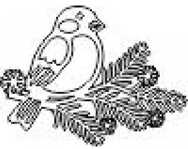 Птицы на ветке трафарет на окно