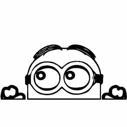 Миньон черно белый